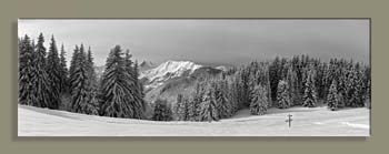 Pano 16WTFCANCS N2 NB