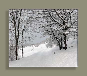 Pano FEISSONS 09WTFN N0