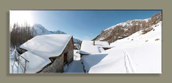 Pano LEMONAL 11TN N0