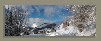 Pano4AWTFN HR 120X345 N2