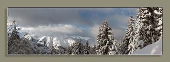 Pano5WTFN HR 120X345 N2