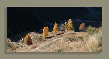 VANOISE PANO 3 W TFTCN